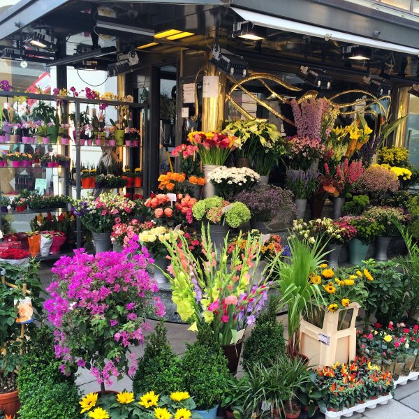 Ассортимент цветов