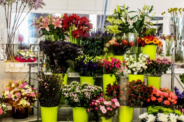 Цветочный магазин внутри