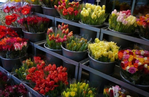 Цветочный магазин