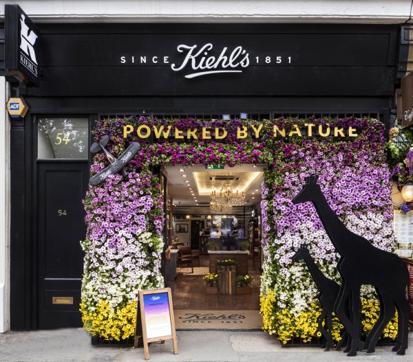 Флористические названия цветов