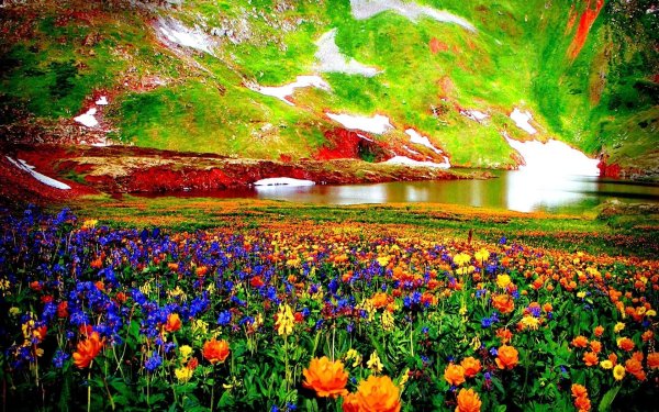 Яркая природа
