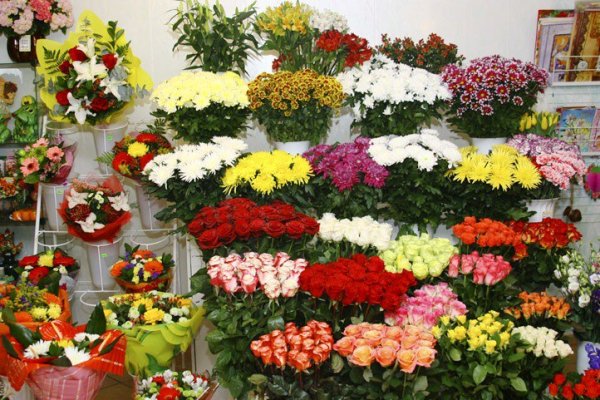 Названия цветов растений