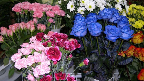 Прилавок цветочного магазина