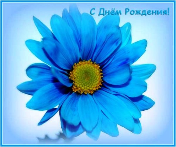 С днем рождения