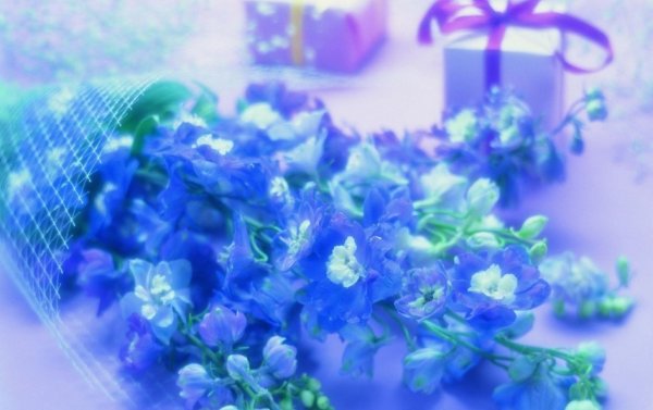 Открытка в синих тонах