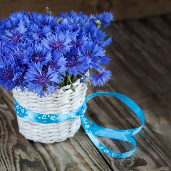 Букет с васильками