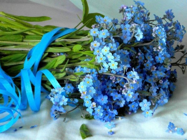 Букет из незабудок