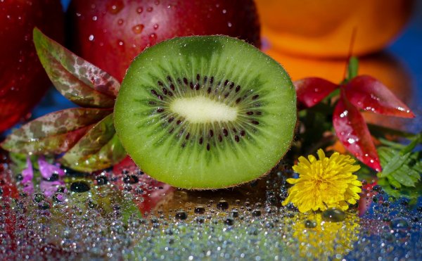 Красивые живые обои киви