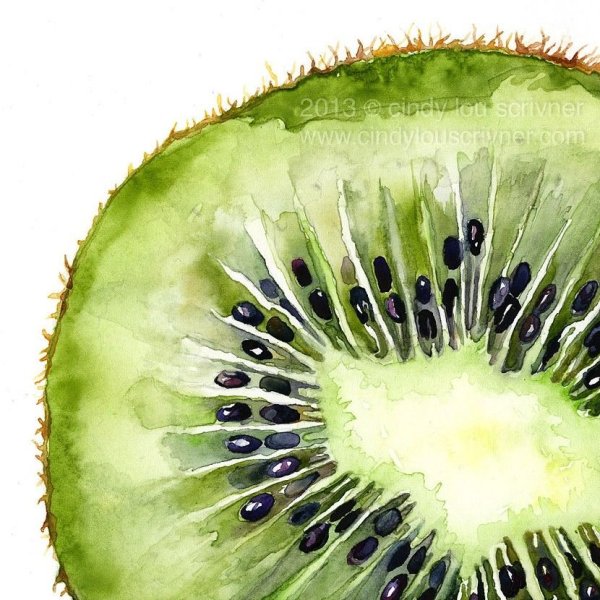 Фрукты акварелью