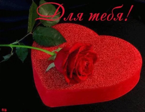 Цветы с признанием в любви