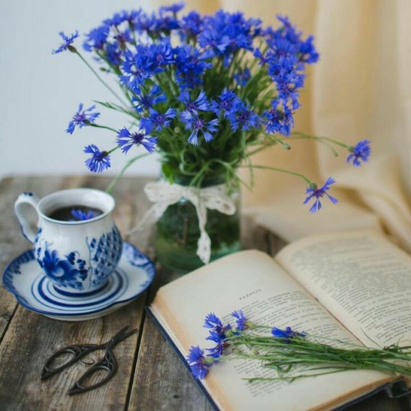 Чашечка кофе с незабудками