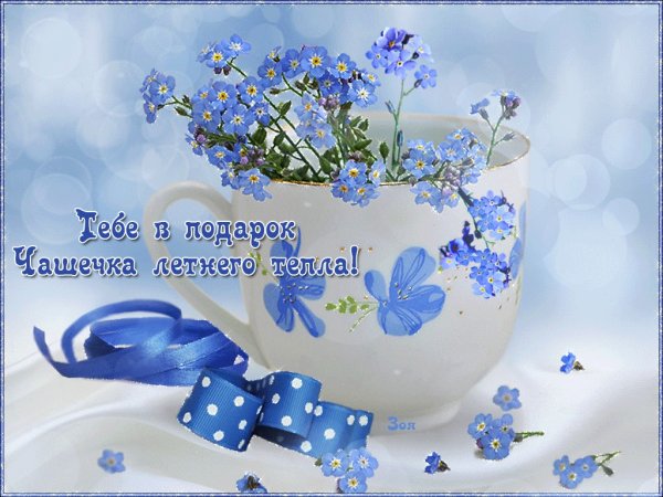 Доброе утро незабудки