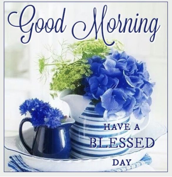 Доброе утро в голубом цвете