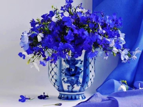 Добрый вечер в синем цвете