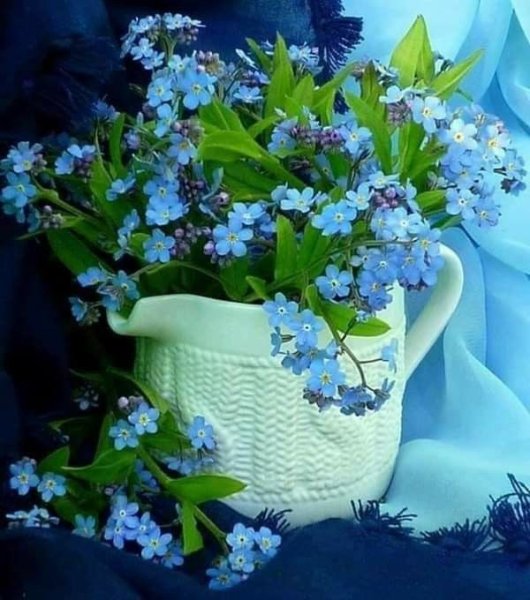 Ландыш голубой