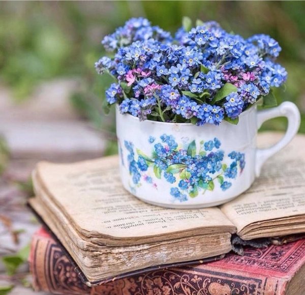 Букет незабудок в чашке