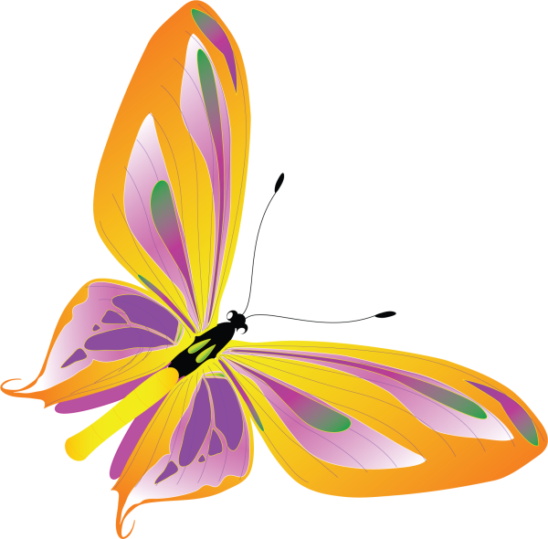 Бабочки на белом фоне