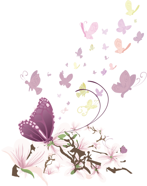 Фон бабочки