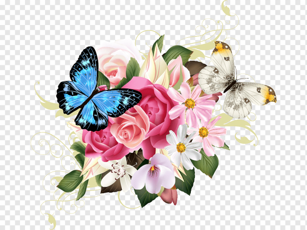 Бабочка на цветке