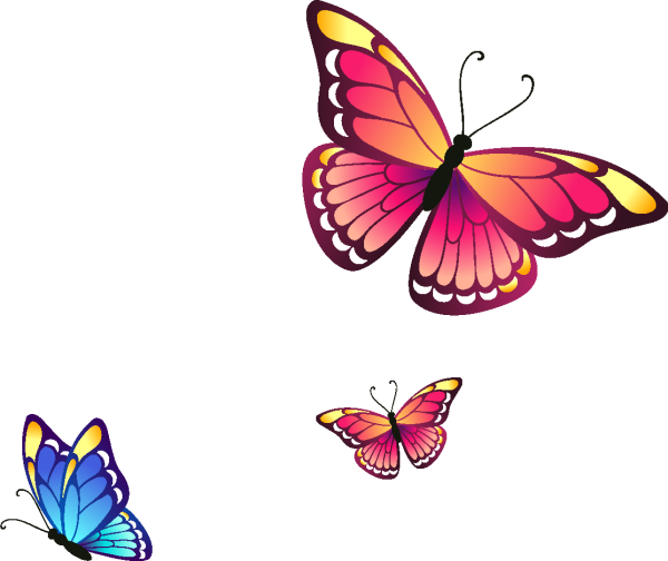 Бабочки клипарт