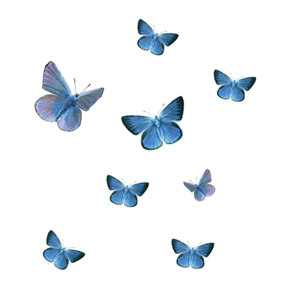 Голубая бабочка на прозрачном фоне