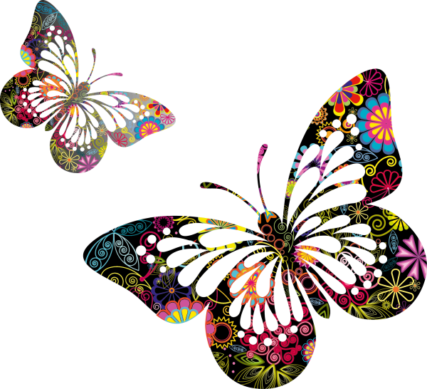 Бабочки цветочки на прозрачном фоне