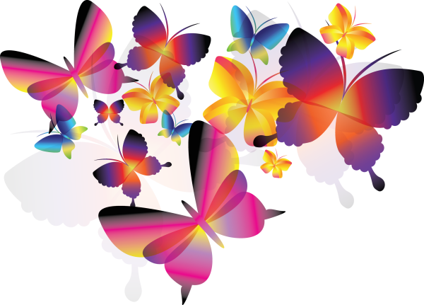 Много бабочек на прозрачном фоне