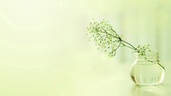 Цветочки Минимализм