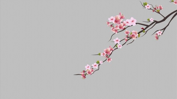 Бледно розовые мелкие цветы