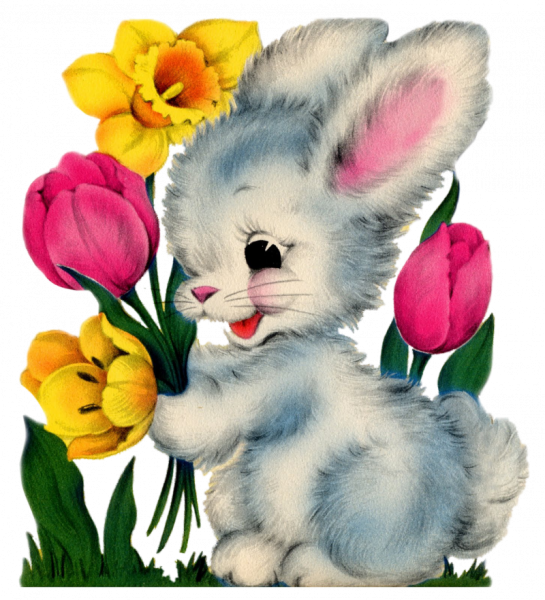 Банни рэббит