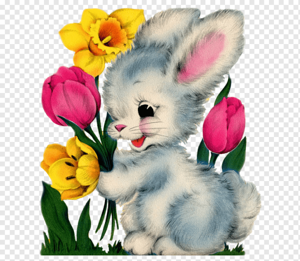 Марина Федотова зайки ми