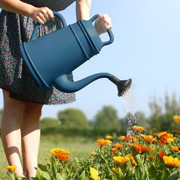 Вода из лейки