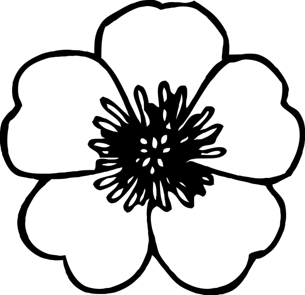 Раскраска цветочек