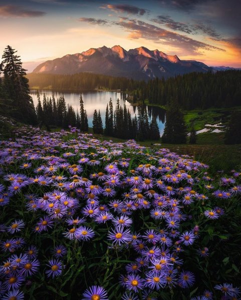 Красивая природа