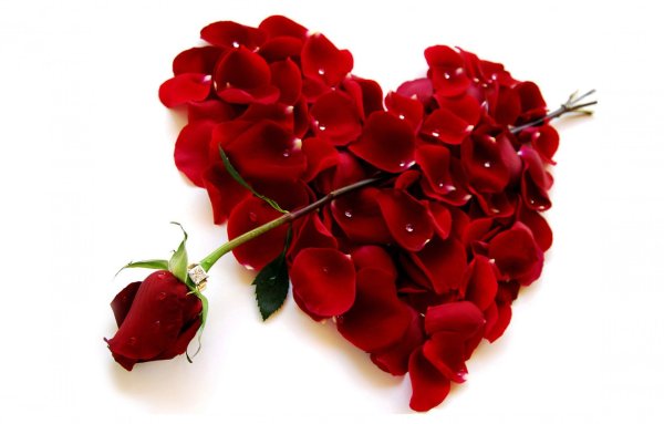 Надпись цветы