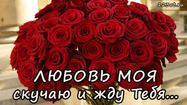 Красивые цветы с признанием в любви