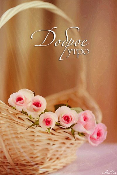 Сумочка с цветами доброе утро