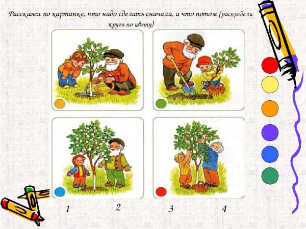 Комнатные растения задания для дошкольников