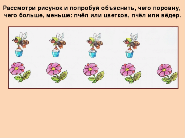 Этапы роста цветов для дошкольников