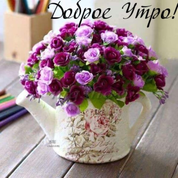 Необычные пожелания с добрым утром