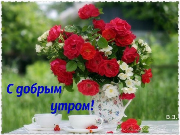 Цветочные композиции с добрым утром