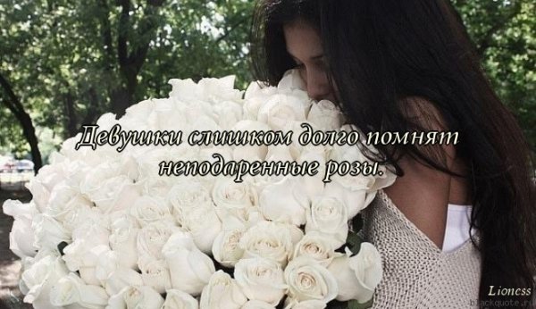 Инстаграмные розы