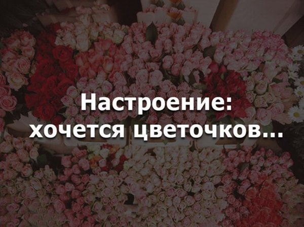 Женщины слишком долго помнят неподаренные цветы