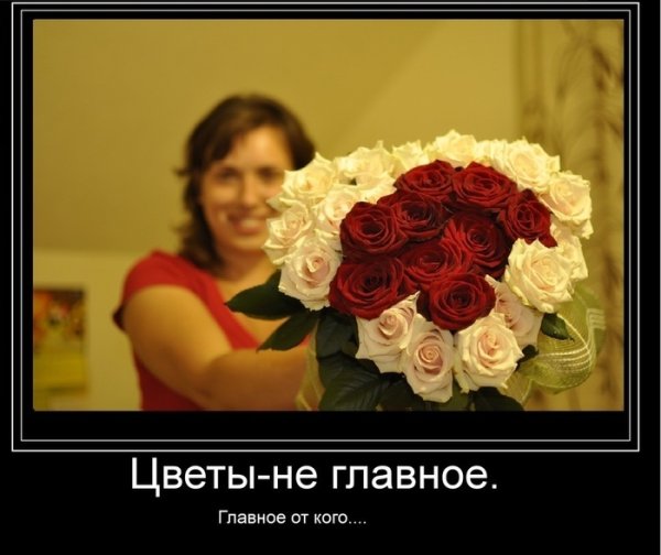 Цитаты про цветы приколы