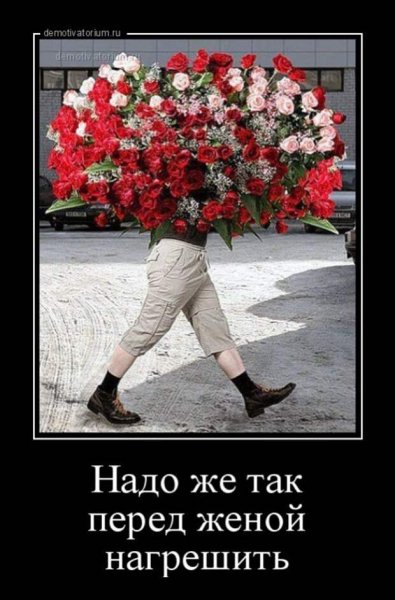 Демотиваторы с цветами