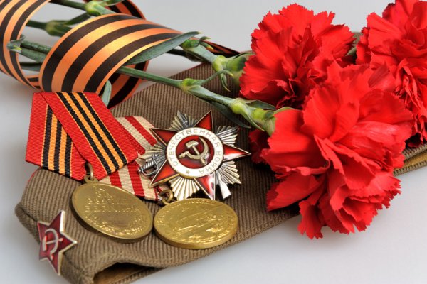Георгиевская лента с гвоздикой