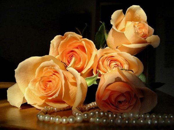 Открытки с днём рождения розы