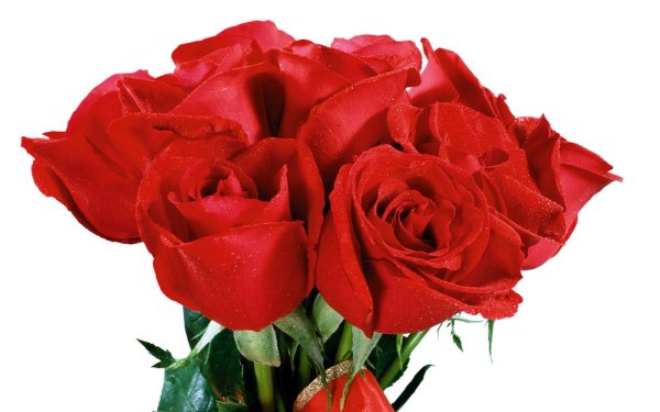 С днём рождения нежные открытки