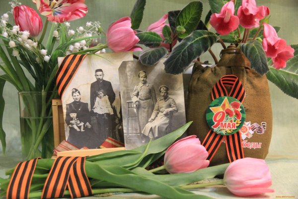 Сирень день Победы