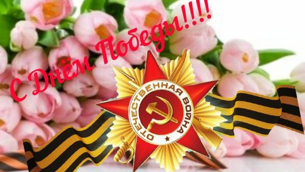 Гвоздики 9 мая